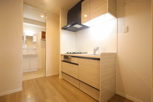 メゾン・ド・ビビ A0302号-6