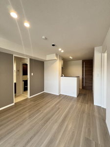 ノヴァ　アイビー A0102号-2