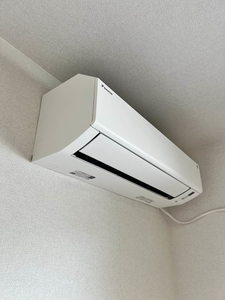 ノヴァ　アイビー A0102号-11