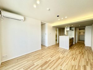 ノヴァ　アイビー A0303号-2