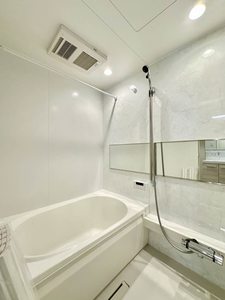 ノヴァ　アイビー A0303号-8