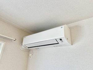 ノヴァ　アイビー A0303号-11