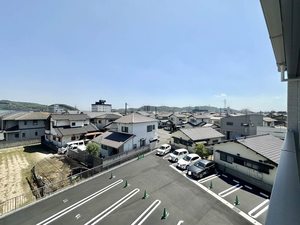 ノヴァ　アイビー A0303号-13