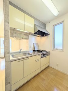 シャーメゾンディモア A0202号-3