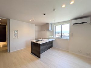 Ａｄｉｍｕ’ｓ　Ａｐｐｅａｒａｎｃｅ A0305号-3