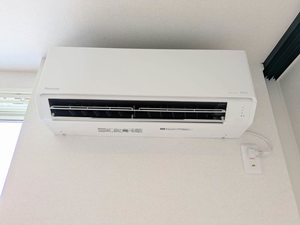 Ａｄｉｍｕ’ｓ　Ａｐｐｅａｒａｎｃｅ A0305号-8