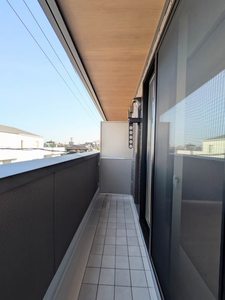 Ａｄｉｍｕ’ｓ　Ａｐｐｅａｒａｎｃｅ A0305号-11