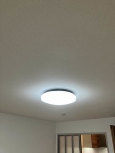 お問合せ番号:2007936-6