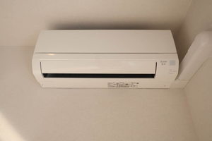 Ｏｌｉｖｅｃｏｕｒｔ（オリーブコート） A0201号-9