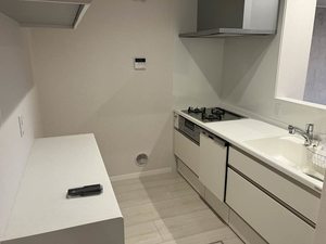 Yanagi Takasu A0101号-8