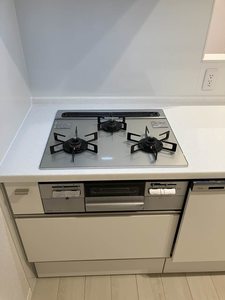 Yanagi Takasu A0101号-9