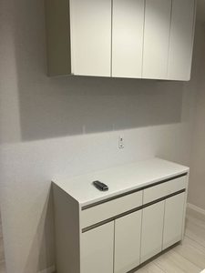 Yanagi Takasu A0101号-11