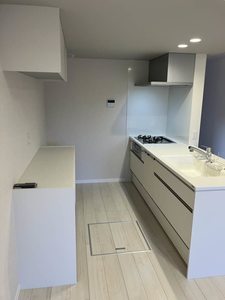 Yanagi Takasu A0102号-7