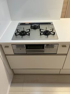 Yanagi Takasu A0102号-8