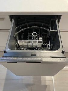 Yanagi Takasu A0102号-9