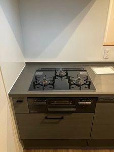 Yanagi Takasu A0201号-10