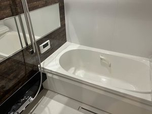 Yanagi Takasu A0202号-7