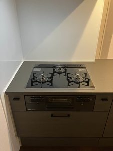 Yanagi Takasu A0202号-9