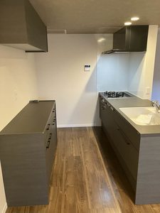 Yanagi Takasu A0202号-10