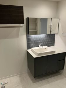 Yanagi Takasu A0302号-5