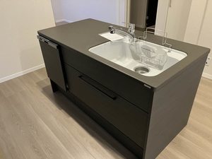 Yanagi Takasu A0302号-9