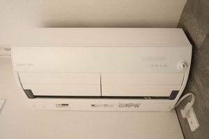 Yanagi Takasu A0303号-11