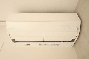 Ｙａｎａｇｉ　Ｔａｋａｓｕ A0403号-11