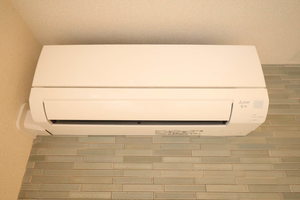 Ｅｃｒａｇｅ　Ｔａｋａｓｕ A0103号-9