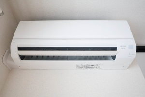 Ｅｃｒａｇｅ　Ｔａｋａｓｕ A0302号-9