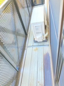 ドミール鈴蘭　Ｃ棟 C0206号-13