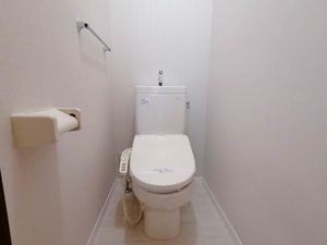 ハイツエメロード A棟 A0202号-10