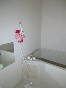 ミーニュ・カーザ　Ａ棟 A0101号-5