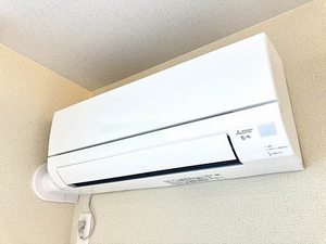 リベラピエナ A0202号-13