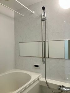 リベラピエナ A0301号-11