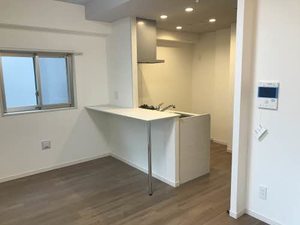 ヴィラシオン大手町 A0902号-4