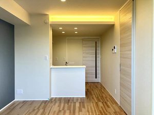 シャーメゾン　クロシェット A0102号-2