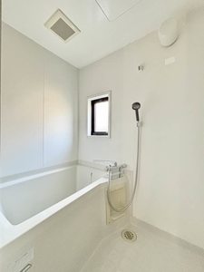 ベルディアス A0102号-10