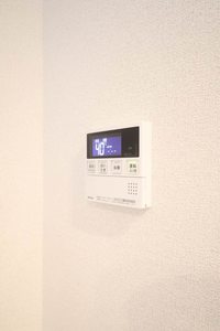 Ａｌｌｕｍｅ 00203号-10