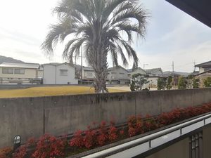 プライム　ＥＡＳＴ B0101号-15