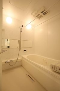 プライムフェルトⅡ A0102号-9