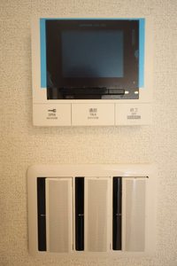 プライムフェルトⅡ A0102号-12