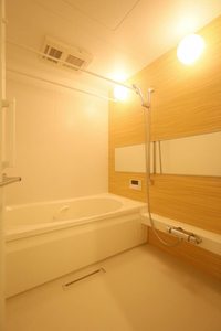 プライムフェルトⅡ A0203号-9