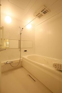 プライムフェルトⅡ A0301号-10