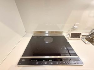 シャーメゾン北藤原 00101号-12