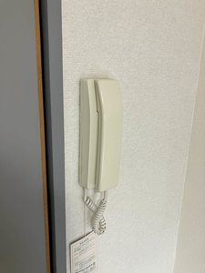 泉川マンション A0308号-9