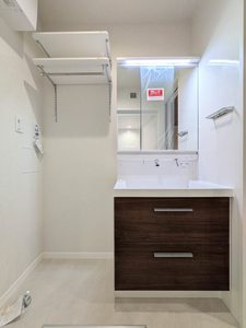 アメリス A0101号-6