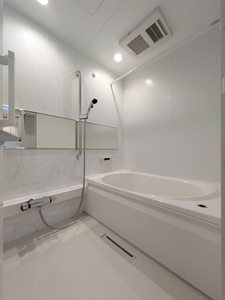 アメリス A0101号-7