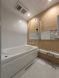 アメリス A0202号-7