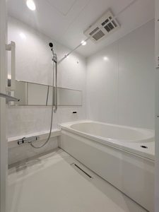 ノルディア野田 A0302号-8