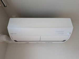 凛 A0101号-11